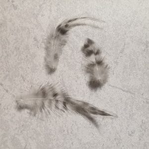 Höyhenpussi, 5 grammaa - värjäämättömät